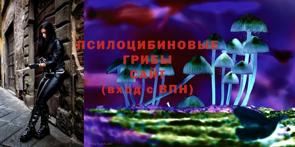 бутик Новозыбков