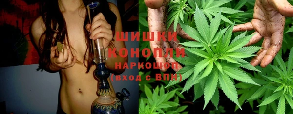 соль ск Нефтегорск