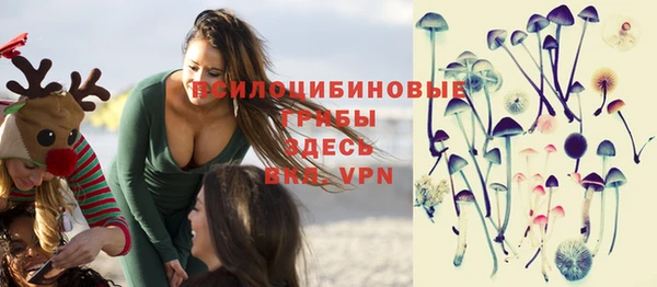 соль ск Нефтегорск