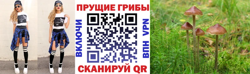Галлюциногенные грибы мухоморы  Купить  Кедровый 